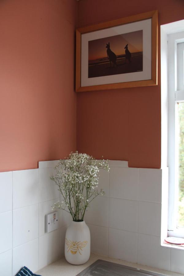 Beautiful Apartment In Guildford With Parking Send Eksteriør billede