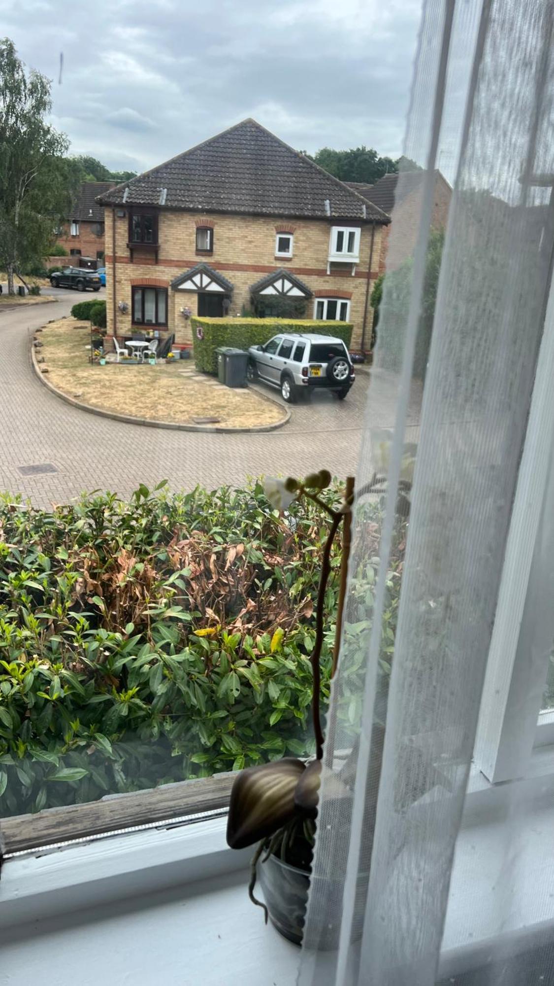 Beautiful Apartment In Guildford With Parking Send Eksteriør billede